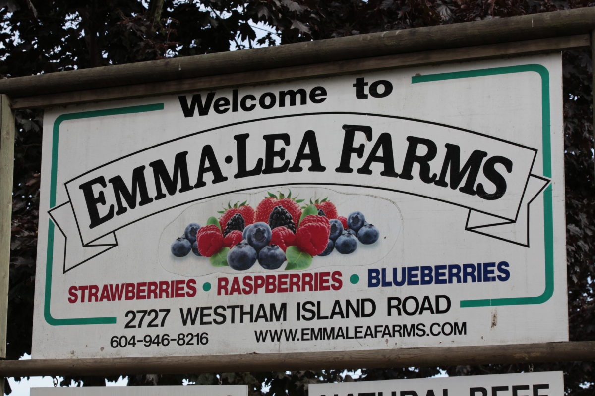 Emma Lea Farms