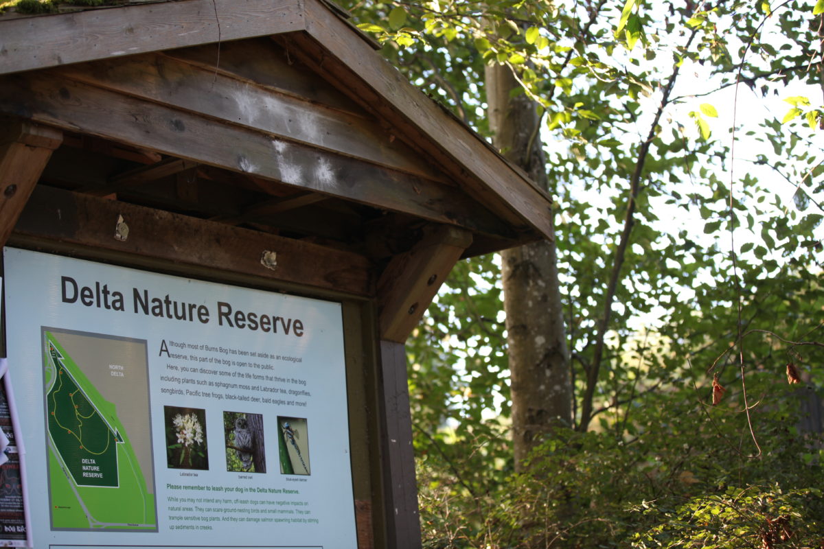 Burns Bog (Delta Nature Reserve)