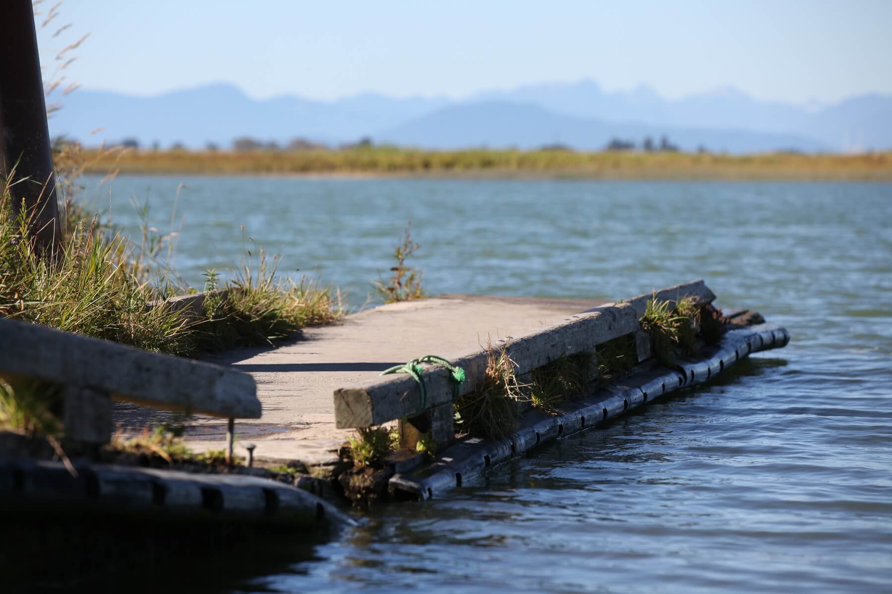 Wellington Point Park