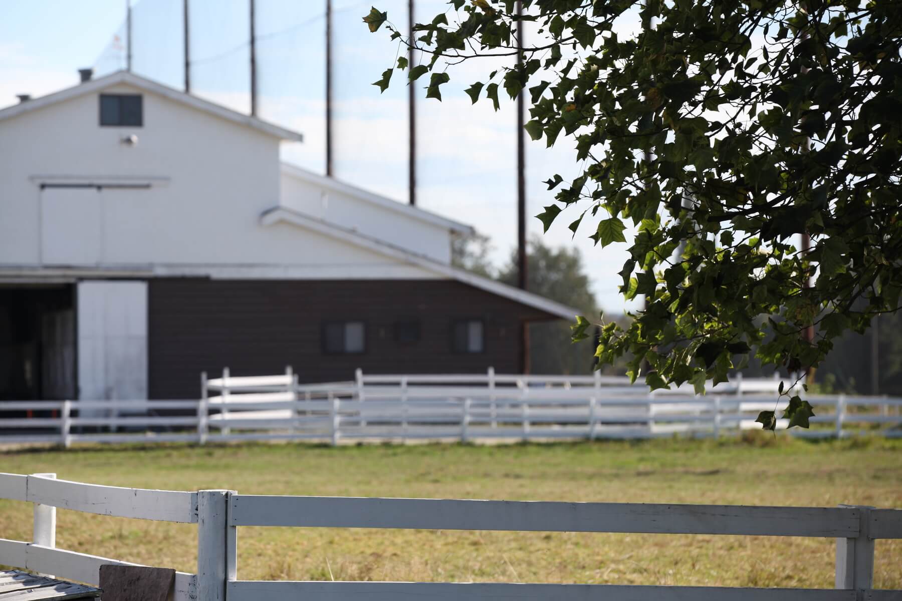 Ridge View Stables